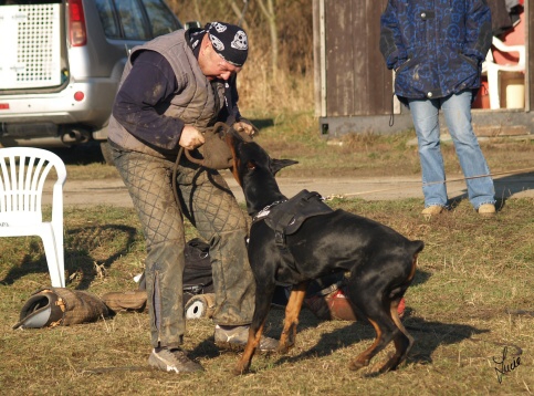 The christmas training 27.12.2006